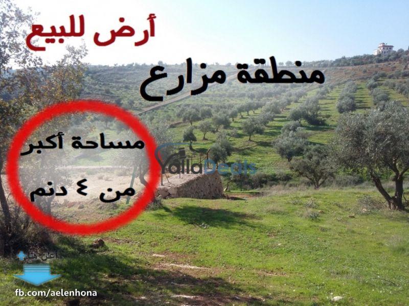 بورجوندي مزدوج حملة  أراضي للبيع في الأردن. افضل العروض على عقارات و بيوت للايجار و البيع |  Yalla Deals